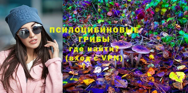 стаф Горнозаводск