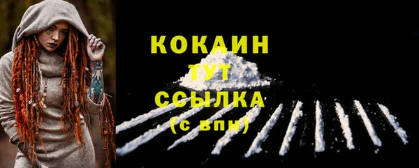 винт Горняк