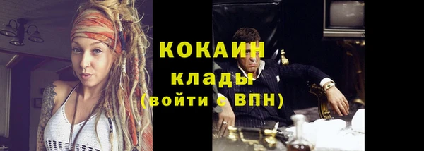 гашик Вязники