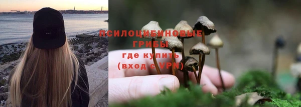 герыч Вяземский