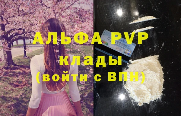 стаф Горнозаводск