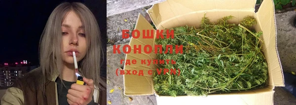 винт Горняк