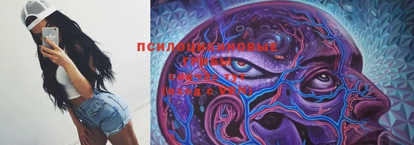 стаф Горнозаводск